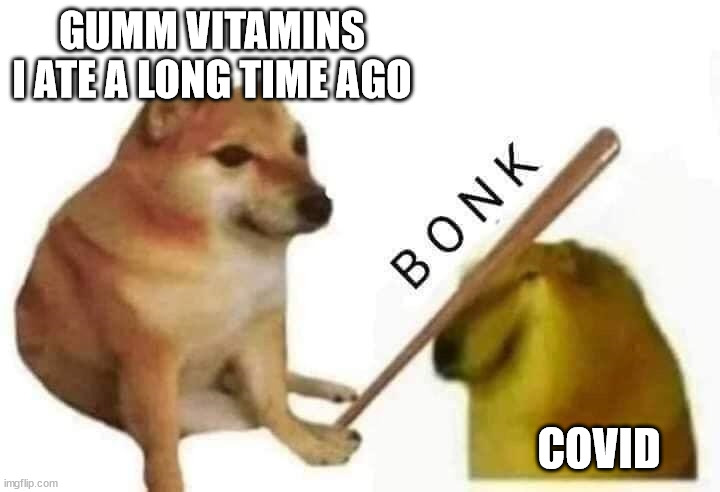 Doge bonk | GUMM VITAMINS I ATE A LONG TIME AGO; COVID | image tagged in doge bonk | made w/ Imgflip meme maker
