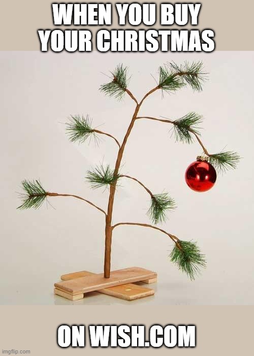 Wish you had presents | WHEN YOU BUY YOUR CHRISTMAS; ON WISH.COM | image tagged in christmas tree,memes,wish,2021 | made w/ Imgflip meme maker