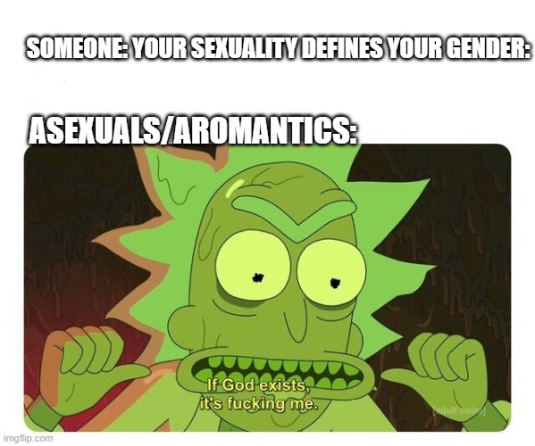 I AM A GOD | ASEXUALS/AROMANTICS:; SOMEONE: YOUR SEXUALITY DEFINES YOUR GENDER: | image tagged in if god exists | made w/ Imgflip meme maker