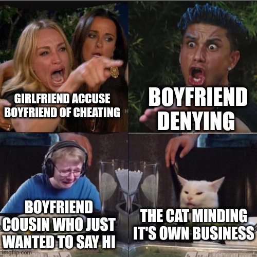 Four panel Taylor Armstrong Pauly D CallmeCarson Cat | BOYFRIEND DENYING; GIRLFRIEND ACCUSE BOYFRIEND OF CHEATING; BOYFRIEND COUSIN WHO JUST WANTED TO SAY HI; THE CAT MINDING IT'S OWN BUSINESS | image tagged in four panel taylor armstrong pauly d callmecarson cat | made w/ Imgflip meme maker