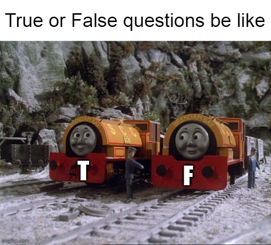 A Test's 50/50 Scenario |  True or False questions be like; T; F | image tagged in meme,memes,humor,quizzes,questions | made w/ Imgflip meme maker