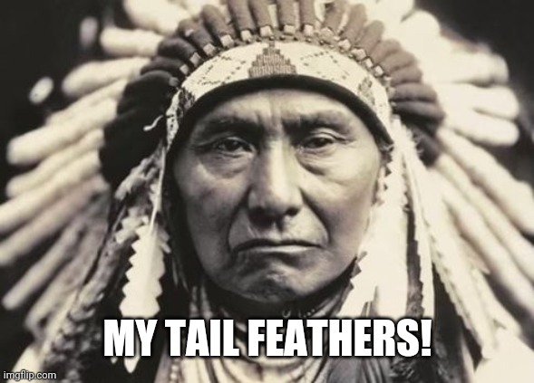 American Indian | MY TAIL FEATHERS! | image tagged in american indian | made w/ Imgflip meme maker