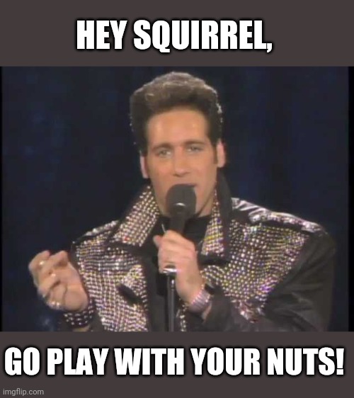 Andrew Dice Clay | HEY SQUIRREL, GO PLAY WITH YOUR NUTS! | image tagged in andrew dice clay | made w/ Imgflip meme maker