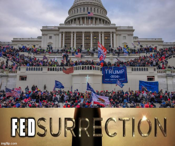 FedSurrection Essential Truths....the Ruse | image tagged in fedsurrection,election ruse,democrats,selections,evil | made w/ Imgflip meme maker
