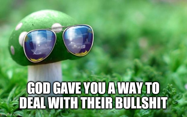 Deal With it Mushroom | GOD GAVE YOU A WAY TO DEAL WITH THEIR BULLSHIT | image tagged in deal with it mushroom | made w/ Imgflip meme maker