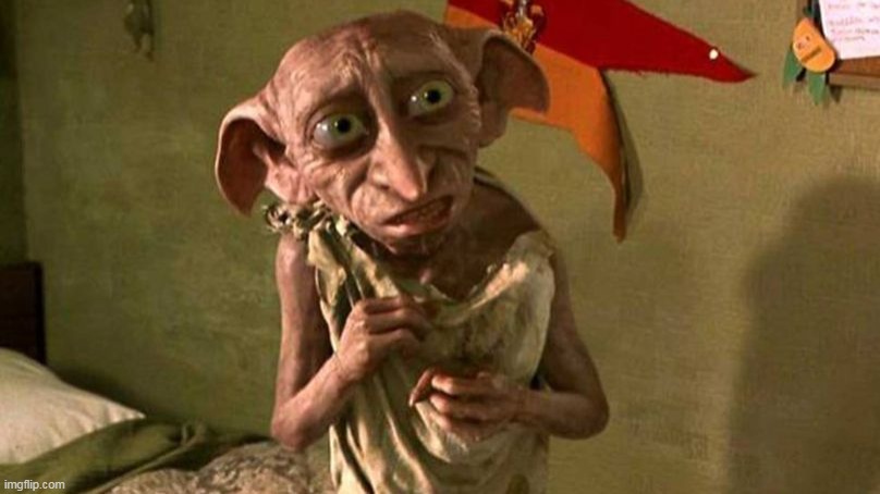 DOBBY HARRY POTTER | image tagged in dobby harry potter | made w/ Imgflip meme maker