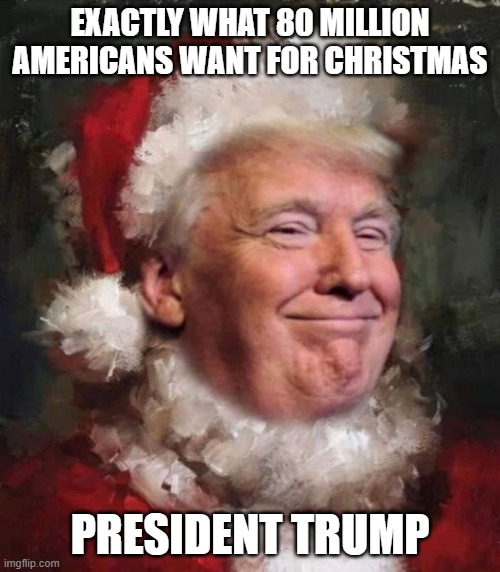 EXACTLY WHAT 80 MILLION AMERICANS WANT FOR CHRISTMAS; PRESIDENT TRUMP | made w/ Imgflip meme maker