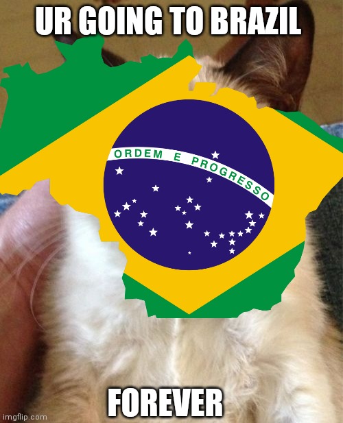Portugal's punishment | UR GOING TO BRAZIL; FOREVER | image tagged in brazil,portugal,grumpy cat,war | made w/ Imgflip meme maker