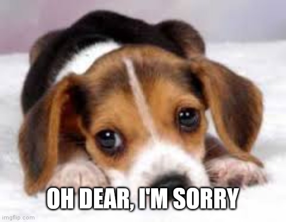 SOWWY PUPPY | OH DEAR, I'M SORRY | image tagged in sowwy puppy | made w/ Imgflip meme maker