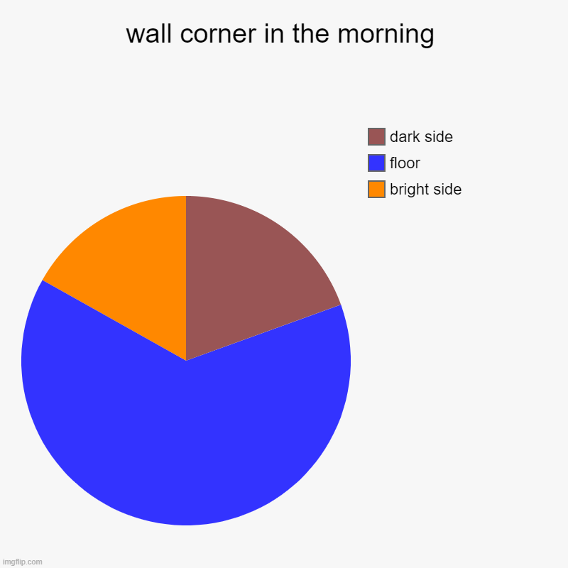 wall corner in the morning | bright side, floor, dark side | image tagged in charts,pie charts | made w/ Imgflip chart maker