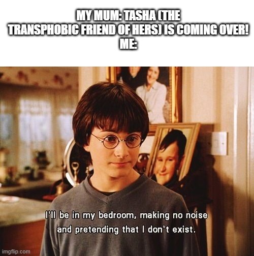 i am currently hiding | MY MUM: TASHA (THE TRANSPHOBIC FRIEND OF HERS) IS COMING OVER!
ME: | image tagged in i'll be in my room | made w/ Imgflip meme maker