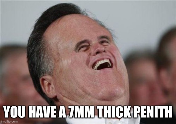 Small Face Romney Meme | YOU HAVE A 7MM THICK PENITH | image tagged in memes,small face romney | made w/ Imgflip meme maker