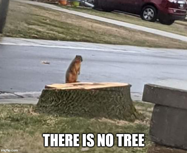 Tree gone | THERE IS NO TREE | image tagged in tree gone | made w/ Imgflip meme maker