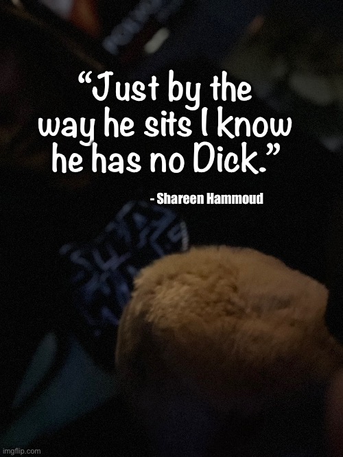 Small men | “Just by the way he sits I know he has no Dick.”; - Shareen Hammoud | image tagged in small,funny memes,quotes,funny,lol so funny | made w/ Imgflip meme maker