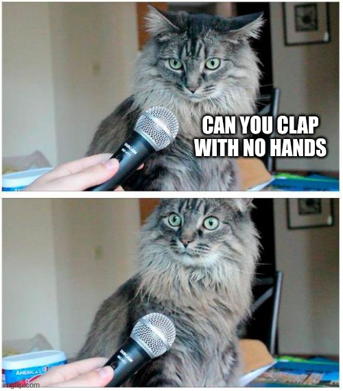 cat and microphone | CAN YOU CLAP WITH NO HANDS | image tagged in cat and microphone | made w/ Imgflip meme maker