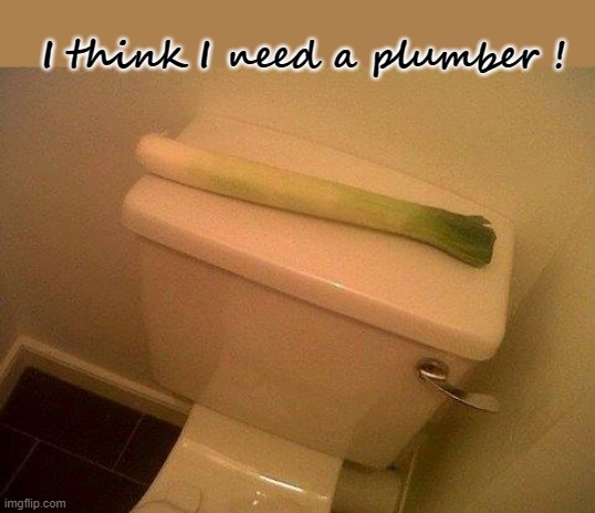 Leak ? | I think I need a plumber ! | image tagged in plumber | made w/ Imgflip meme maker