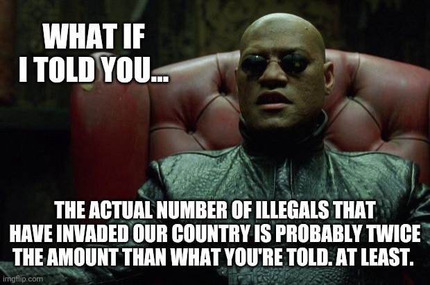 Millions upon millions have invaded our country. | WHAT IF I TOLD YOU... THE ACTUAL NUMBER OF ILLEGALS THAT HAVE INVADED OUR COUNTRY IS PROBABLY TWICE THE AMOUNT THAN WHAT YOU'RE TOLD. AT LEAST. | image tagged in matrix morpheus | made w/ Imgflip meme maker