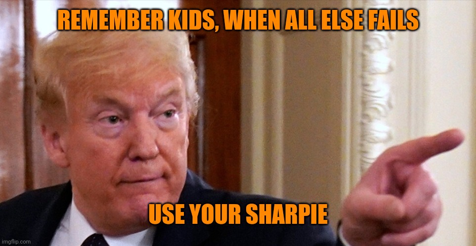 The king of failure explaining how to handle failures | REMEMBER KIDS, WHEN ALL ELSE FAILS; USE YOUR SHARPIE | image tagged in trump pointing | made w/ Imgflip meme maker