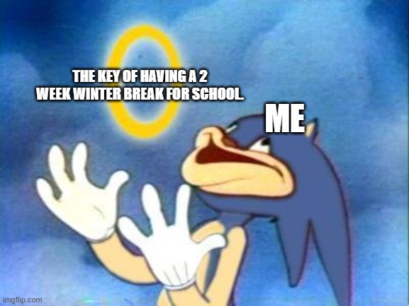 does people get this? | THE KEY OF HAVING A 2 WEEK WINTER BREAK FOR SCHOOL. ME | image tagged in sonic derp,school meme | made w/ Imgflip meme maker