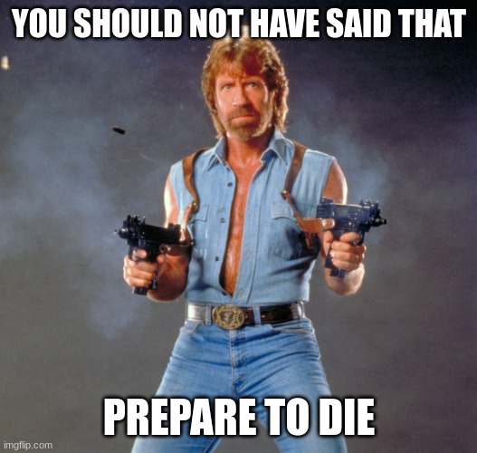 YOU SHOULD NOT HAVE SAID THAT PREPARE TO DIE | image tagged in memes,chuck norris guns,chuck norris | made w/ Imgflip meme maker