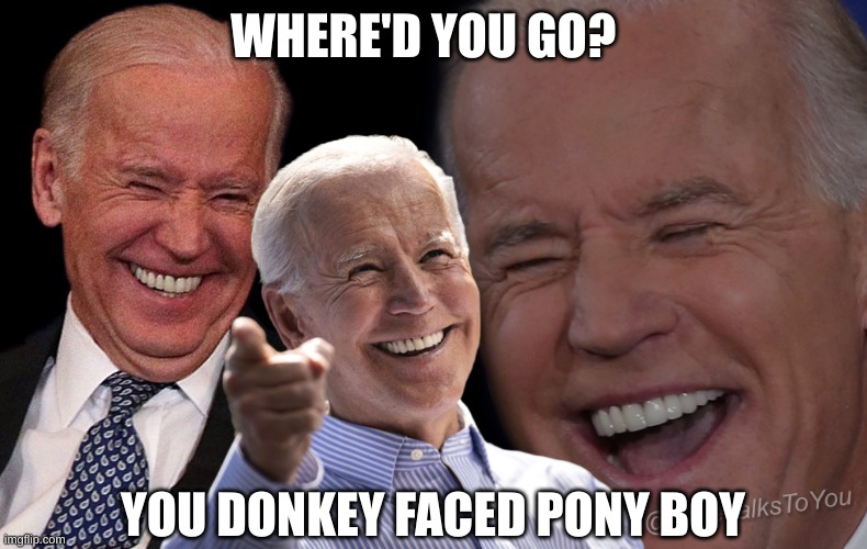 Joe Biden Laughing | WHERE'D YOU GO? YOU DONKEY FACED PONY BOY | image tagged in joe biden laughing | made w/ Imgflip meme maker