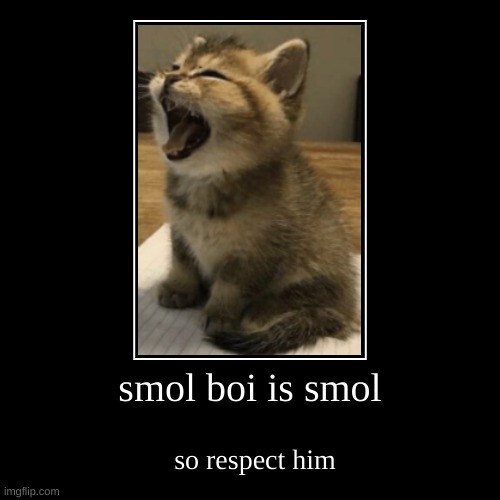 smol boi | image tagged in funny,demotivationals | made w/ Imgflip demotivational maker