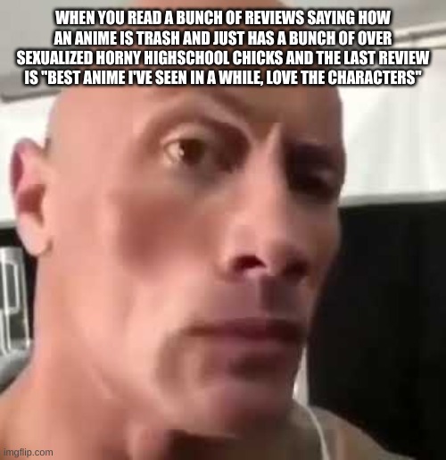 Im reading reviews on Kakegurui lol | WHEN YOU READ A BUNCH OF REVIEWS SAYING HOW AN ANIME IS TRASH AND JUST HAS A BUNCH OF OVER SEXUALIZED HORNY HIGHSCHOOL CHICKS AND THE LAST REVIEW IS "BEST ANIME I'VE SEEN IN A WHILE, LOVE THE CHARACTERS" | image tagged in the rock eyebrows | made w/ Imgflip meme maker