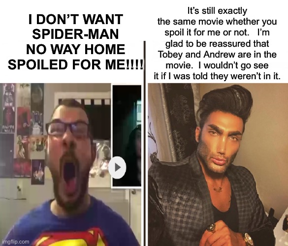 EEEEEEEE | It’s still exactly the same movie whether you spoil it for me or not.   I’m glad to be reassured that Tobey and Andrew are in the movie.  I wouldn’t go see it if I was told they weren’t in it. I DON’T WANT SPIDER-MAN NO WAY HOME SPOILED FOR ME!!!! | image tagged in average fan vs average enjoyer,funny | made w/ Imgflip meme maker