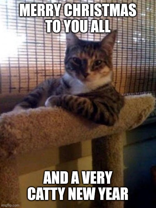 The Most Interesting Cat In The World |  MERRY CHRISTMAS TO YOU ALL; AND A VERY CATTY NEW YEAR | image tagged in memes,the most interesting cat in the world | made w/ Imgflip meme maker