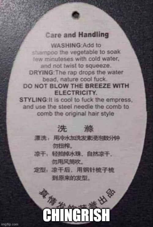 Translation problems | CHINGRISH | image tagged in chinese,translations,errors | made w/ Imgflip meme maker