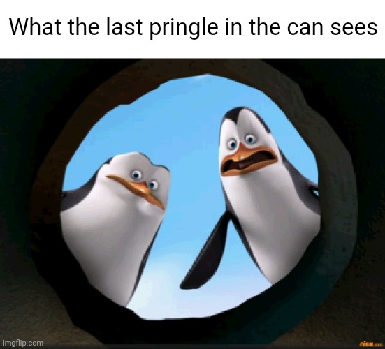 Pringles of Madagascar | What the last pringle in the can sees | image tagged in madagascar,penguins of madagascar,madagascar meme,last pringle,pringles | made w/ Imgflip meme maker