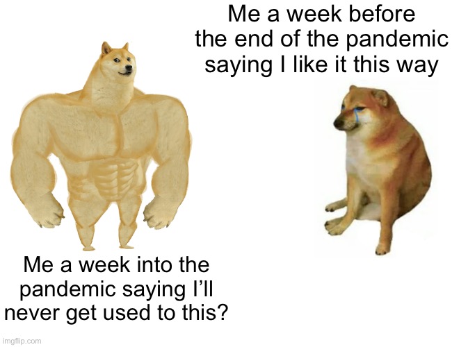 Anyone else? | Me a week before the end of the pandemic saying I like it this way; Me a week into the pandemic saying I’ll never get used to this? | image tagged in memes,buff doge vs cheems | made w/ Imgflip meme maker