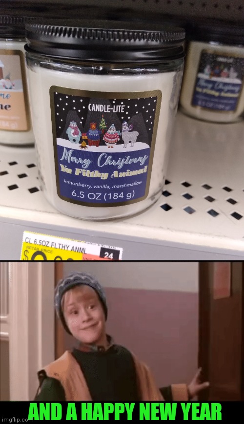 MERRY CHRISTMAS YA FILTHY ANIMAL |  AND A HAPPY NEW YEAR | image tagged in merry christmas,home alone,candle,christmas memes,home alone kid | made w/ Imgflip meme maker