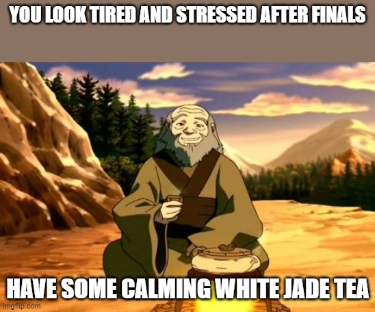 Calming white jade tea is what we all need now Iroh | YOU LOOK TIRED AND STRESSED AFTER FINALS; HAVE SOME CALMING WHITE JADE TEA | image tagged in enlightened iroh,memes | made w/ Imgflip meme maker