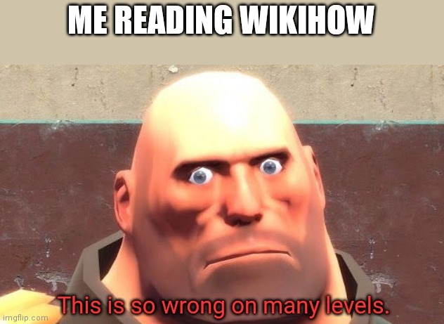 This is so wrong on many levels. | ME READING WIKIHOW | image tagged in this is so wrong on many levels | made w/ Imgflip meme maker