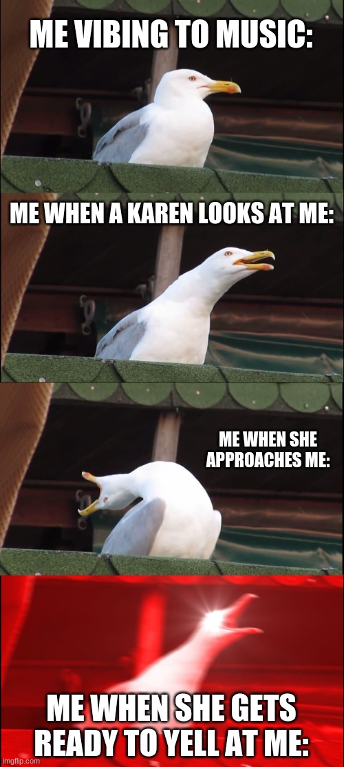 Inhaling Seagull Meme | ME VIBING TO MUSIC:; ME WHEN A KAREN LOOKS AT ME:; ME WHEN SHE APPROACHES ME:; ME WHEN SHE GETS READY TO YELL AT ME: | image tagged in memes,inhaling seagull | made w/ Imgflip meme maker