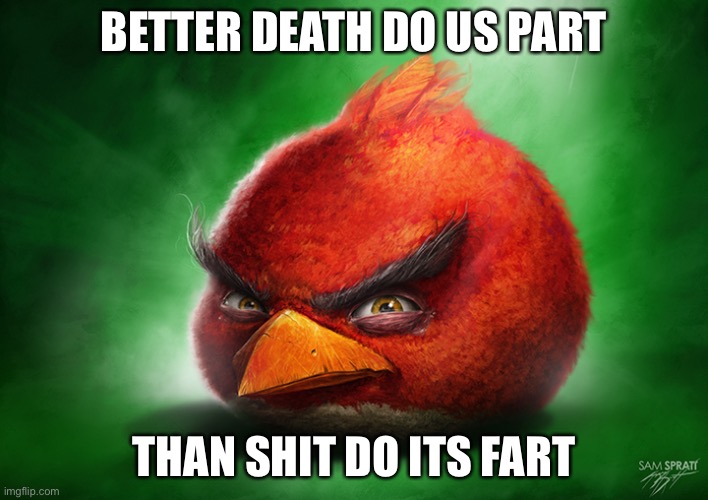 Even at the coldest dawns, I devour my cum... | BETTER DEATH DO US PART; THAN SHIT DO ITS FART | image tagged in angry birds,angry bird,memes,funny,cats | made w/ Imgflip meme maker