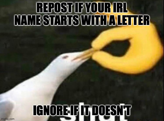 My irl name starts with a letter | REPOST IF YOUR IRL NAME STARTS WITH A LETTER; IGNORE IF IT DOESN'T | image tagged in shut | made w/ Imgflip meme maker