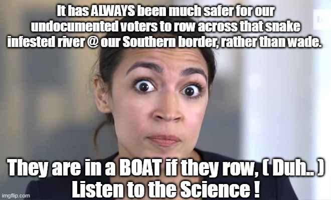 Roe VS Wade | It has ALWAYS been much safer for our undocumented voters to row across that snake infested river @ our Southern border, rather than wade. They are in a BOAT if they row, ( Duh.. )
Listen to the Science ! | image tagged in memes | made w/ Imgflip meme maker