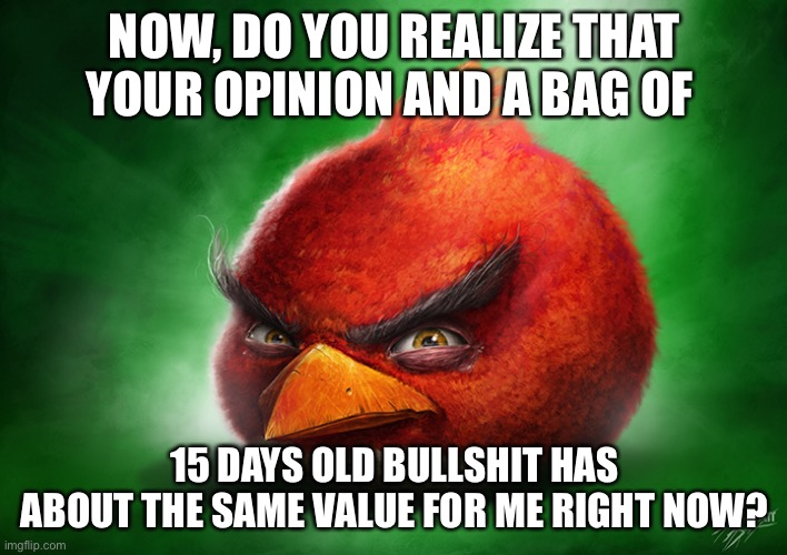 Angry bird | NOW, DO YOU REALIZE THAT YOUR OPINION AND A BAG OF 15 DAYS OLD BULLSHIT HAS ABOUT THE SAME VALUE FOR ME RIGHT NOW? | image tagged in angry bird | made w/ Imgflip meme maker