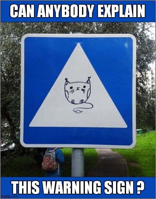 A Cat Balloon ? - Please Help ! | CAN ANYBODY EXPLAIN; THIS WARNING SIGN ? | image tagged in cats,sign,help me | made w/ Imgflip meme maker