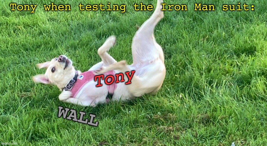 Tony Stark testing his suit | Tony when testing the Iron Man suit:; Tony; WALL | image tagged in doggo falling back,iron man,tony stark,marvel,mcu,avengers | made w/ Imgflip meme maker