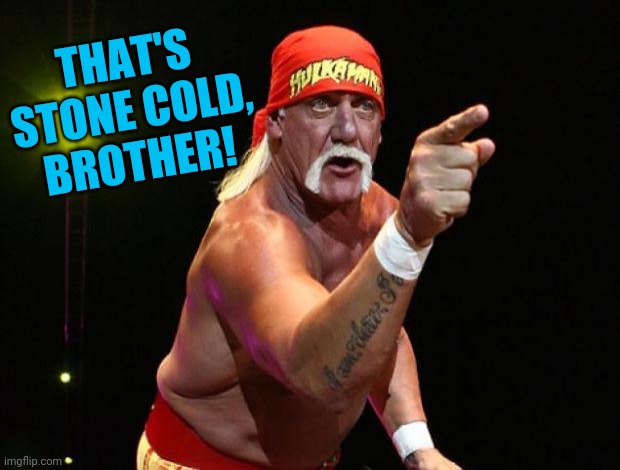 Hulk Hogan | THAT'S STONE COLD, BROTHER! | image tagged in hulk hogan | made w/ Imgflip meme maker