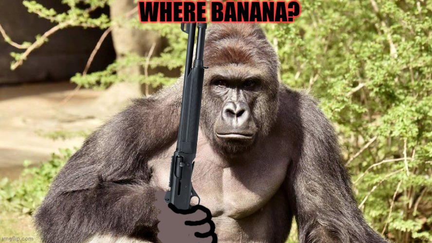 Give banana | WHERE BANANA? | image tagged in monkee,with,shotgun,where banana,give | made w/ Imgflip meme maker