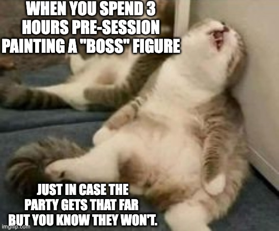 Tired cat | WHEN YOU SPEND 3 HOURS PRE-SESSION PAINTING A "BOSS" FIGURE; JUST IN CASE THE PARTY GETS THAT FAR 
BUT YOU KNOW THEY WON'T. | image tagged in tired cat | made w/ Imgflip meme maker