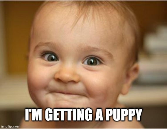 Happy Baby | I'M GETTING A PUPPY | image tagged in happy baby | made w/ Imgflip meme maker