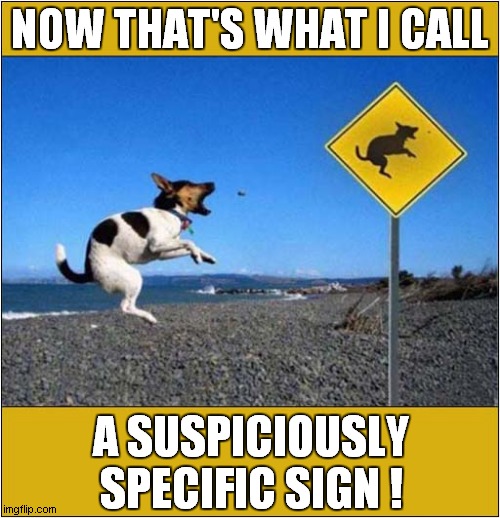 Doggy Disobedience ? | NOW THAT'S WHAT I CALL; A SUSPICIOUSLY SPECIFIC SIGN ! | image tagged in dogs,suspicious,signs | made w/ Imgflip meme maker