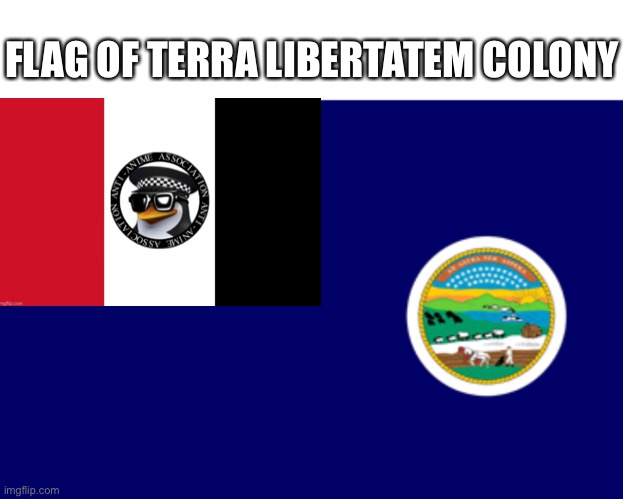 colonial flag | FLAG OF TERRA LIBERTATEM COLONY | image tagged in e | made w/ Imgflip meme maker