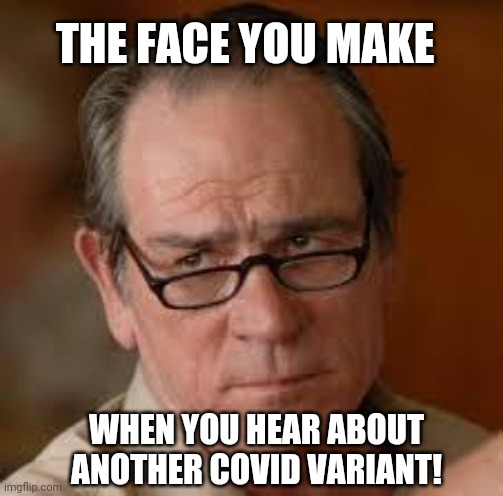 my face when someone asks a stupid question | THE FACE YOU MAKE; WHEN YOU HEAR ABOUT ANOTHER COVID VARIANT! | image tagged in my face when someone asks a stupid question | made w/ Imgflip meme maker