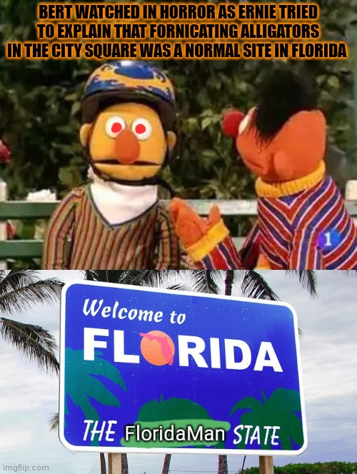 Bert and Ernie visit Florida | BERT WATCHED IN HORROR AS ERNIE TRIED TO EXPLAIN THAT FORNICATING ALLIGATORS IN THE CITY SQUARE WAS A NORMAL SITE IN FLORIDA | image tagged in bert and ernie,sesame street,florida man,its time to stop,alligator | made w/ Imgflip meme maker